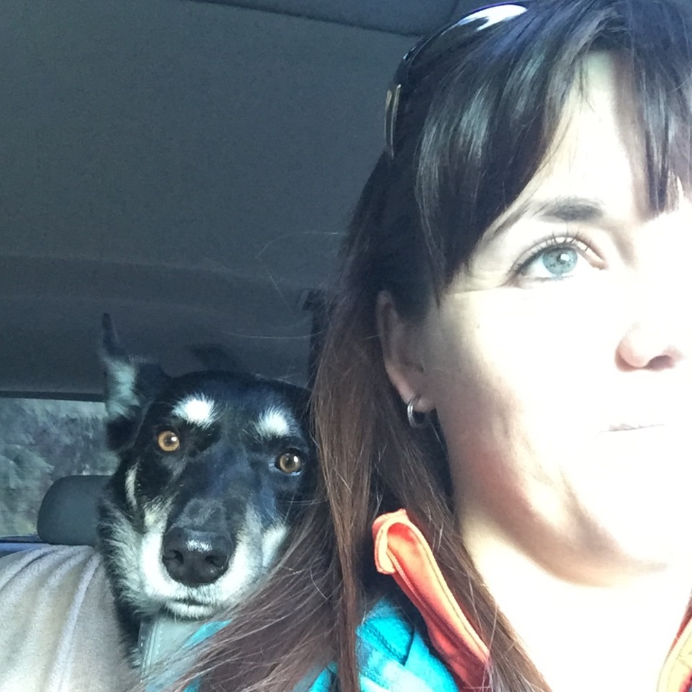 Meet your Posher, Daina